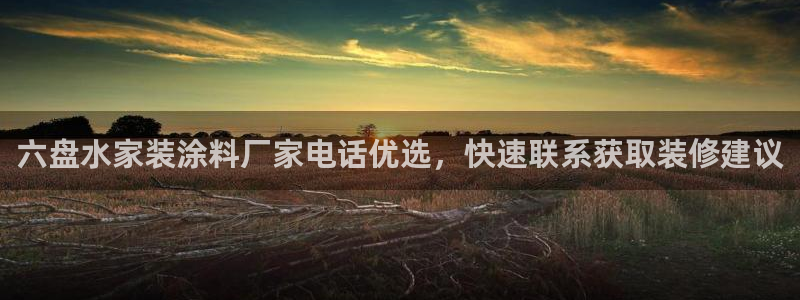 青岛大生和记餐饮管理有限公司：六盘水家装涂料厂家电话优选，快速联系获取装修建议