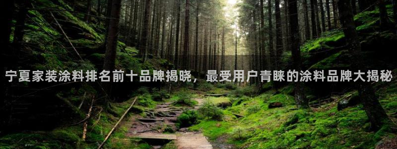 和记官方直营：宁夏家装涂料排名前十品牌揭晓，最受用户青睐的涂料品牌大揭秘
