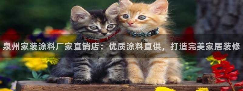 和记h88最新客户端下载：泉州家装涂料厂家直销店：优质涂料直供，打造完美家居装修