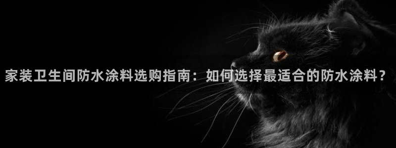 和记国际听：家装卫生间防水涂料选购指南：如何选择最适合的防水涂料？