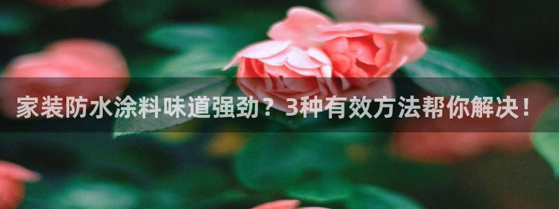 和记官方直营注册：家装防水涂料味道强劲？3种有效方法帮你解决！
