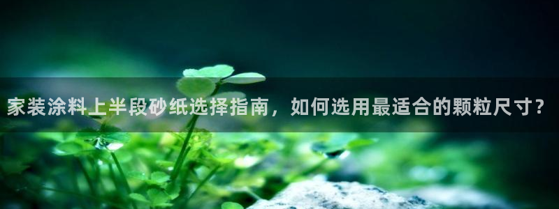 青岛大生和记餐饮管理有限公司：家装涂料上半段砂纸选择指南，如何选用最适合的颗粒尺寸？