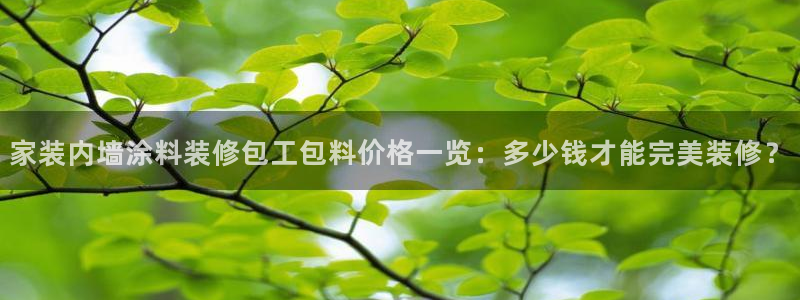 青岛大生和记餐饮管理有限公司：家装内墙涂料装修包工包料价格一览：多少钱才能完美装修？