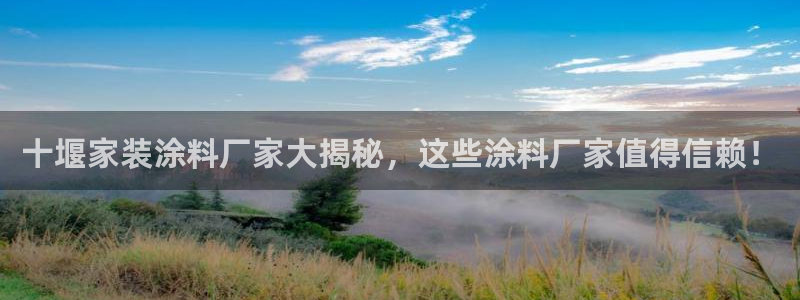 和记港口：十堰家装涂料厂家大揭秘，这些涂料厂家值得信赖！