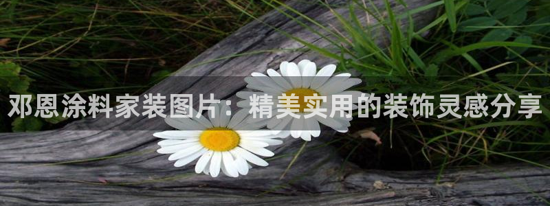 和记国际开户网站