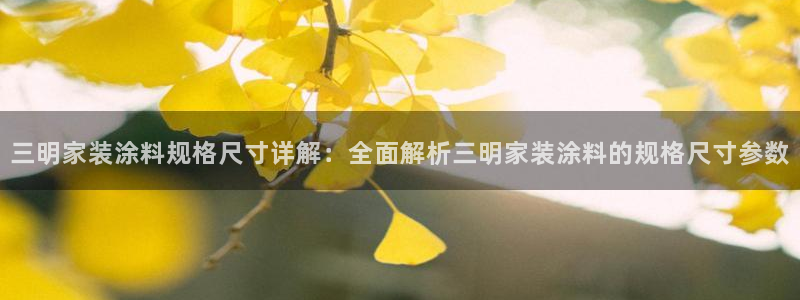 和记电业集团：三明家装涂料规格尺寸详解：全面解析三明家装涂料的规格尺寸参数