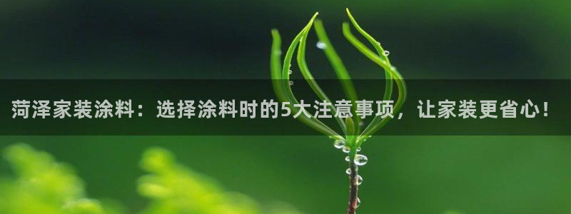 和记ag捕鱼害死多少人：菏泽家装涂料：选择涂料时的5大注意事项，让家装更省心！