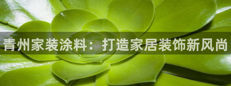和记AG旗舰：青州家装涂料：打造家居装饰新风尚