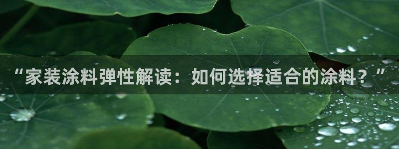 和记 首页：“家装涂料弹性解读：如何选择适合的涂料？”