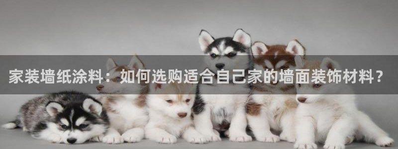和记平台登录：家装墙纸涂料：如何选购适合自己家的墙面装饰材料？