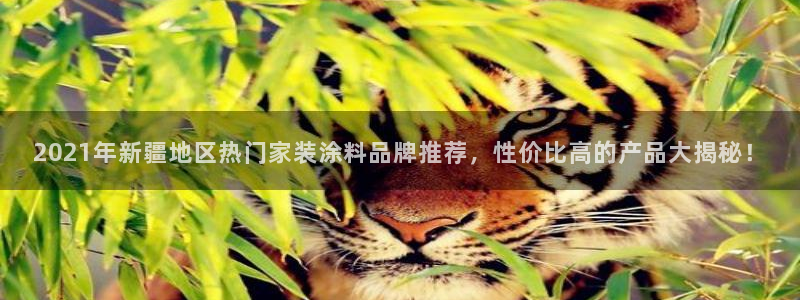 和记ag旗舰厅：2021年新疆地区热门家装涂料品牌推荐，性价比高的产品大揭秘！