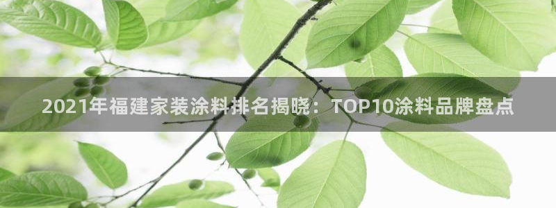 和记ag旗舰：2021年福建家装涂料排名揭晓：TOP10涂料品牌盘点
