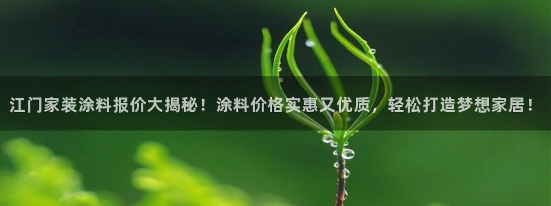 和记网页版登陆：江门家装涂料报价大揭秘！涂料价格实惠又优质，轻松打造梦想家居！