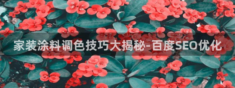 和记paging：家装涂料调色技巧大揭秘-百度SEO优化