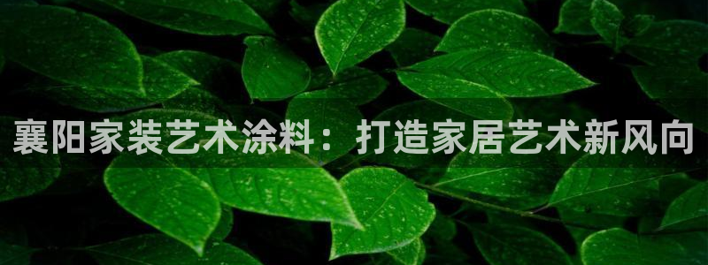 和记H88