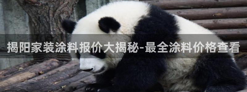 和记ag旗舰国际：揭阳家装涂料报价大揭秘-最全涂料价格查看