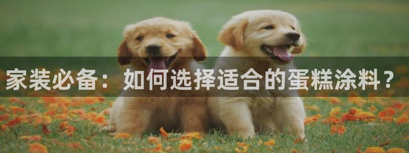 和记官网登录：家装必备：如何选择适合的蛋糕涂料？