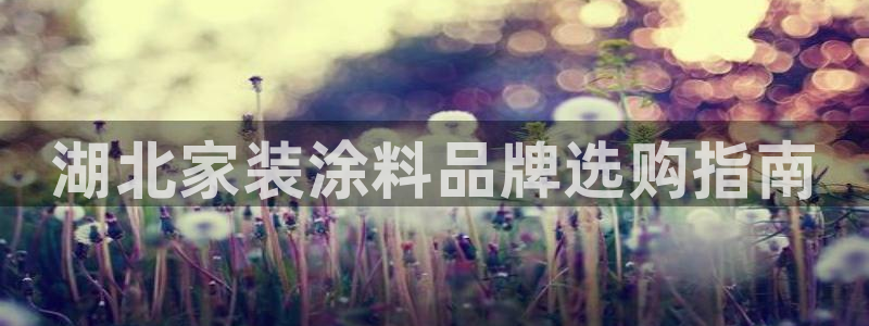 ag和记app：湖北家装涂料品牌选购指南