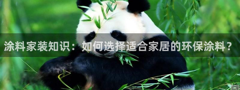 和记官网 公司：涂料家装知识：如何选择适合家居的环保涂料？