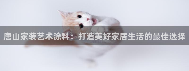 和记国际客服：唐山家装艺术涂料：打造美好家居生活的最佳选择
