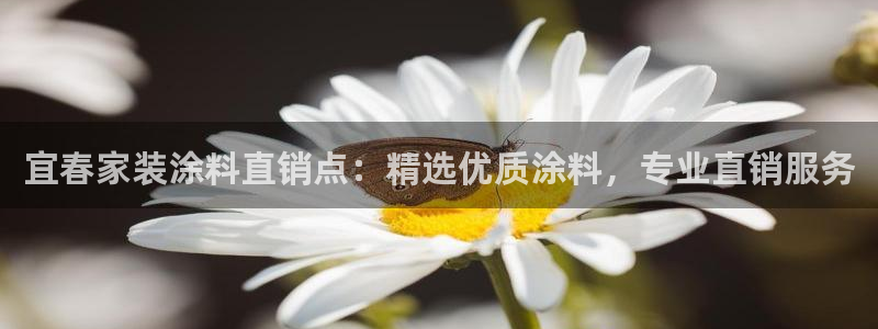 和记AG旗舰