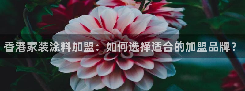 江苏和记数码科技有限公司：香港家装涂料加盟：如何选择适合的加盟品牌？