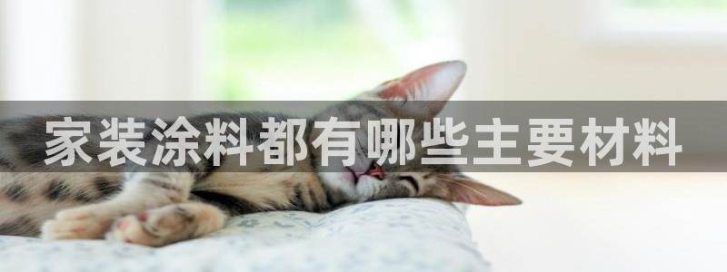 和记ag旗舰国际