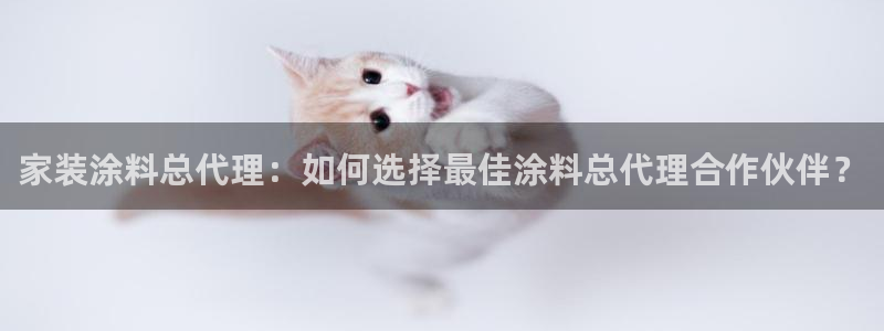 和记h8