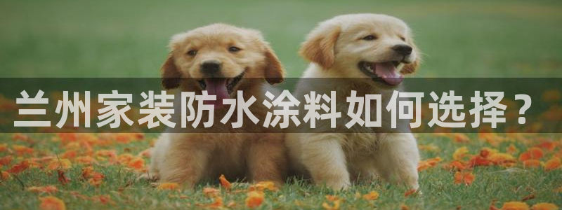 和记娱好网址