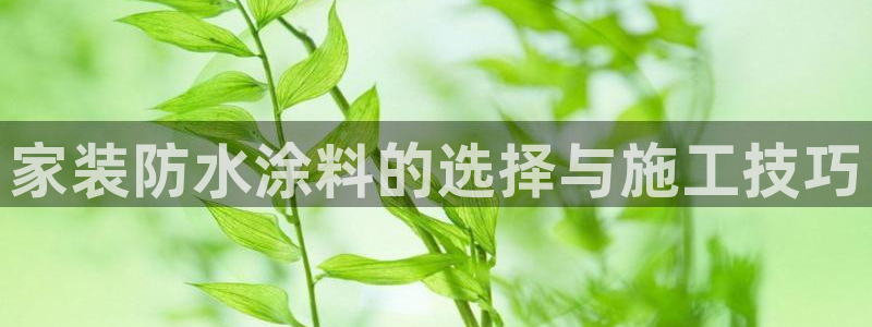 和记平台下载：家装防水涂料的选择与施工技巧