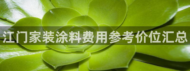 和记ag旗舰国际：江门家装涂料费用参考价位汇总