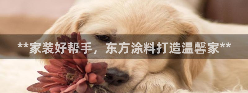 和记官方网站：**家装好帮手，东方涂料打造温馨家**