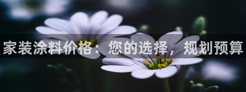 和记Ag：家装涂料价格：您的选择，规划预算
