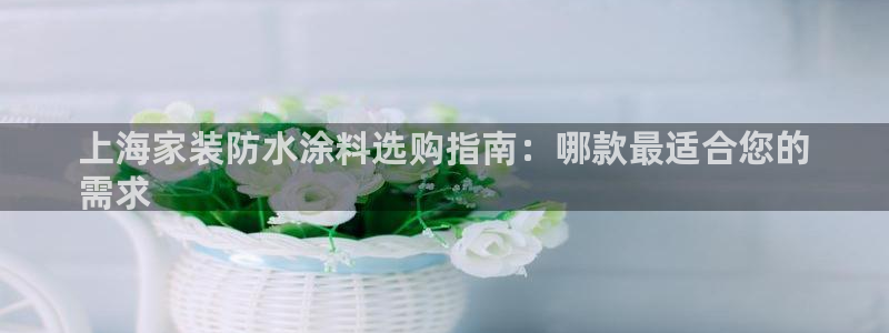和记下载：上海家装防水涂料选购指南：哪款最适合您的
需求