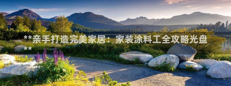 和记平台登陆：**亲手打造完美家居：家装涂料工全攻略光盘
**