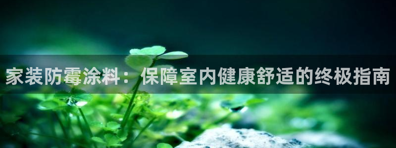 和记Ag：家装防霉涂料：保障室内健康舒适的终极指南