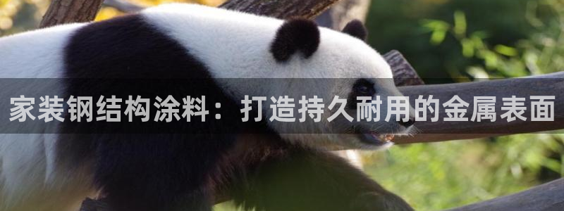 青岛大生和记餐饮管理有限公司：家装钢结构涂料：打造持久耐用的金属表面