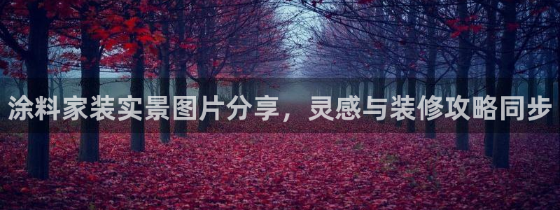 和记H88