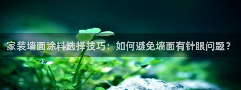 和记网页版：家装墙面涂料选择技巧：如何避免墙面有针眼问题？