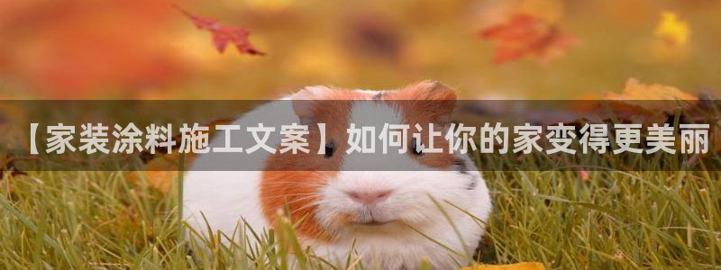 和记paging