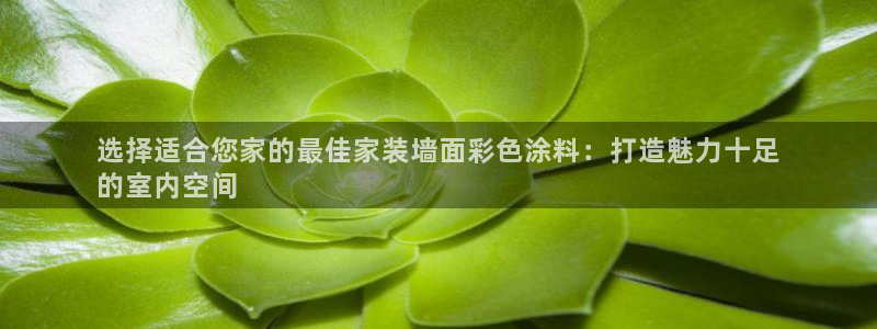 和记网页版登陆：选择适合您家的最佳家装墙面彩色涂料：打造魅力十足
的室内空间