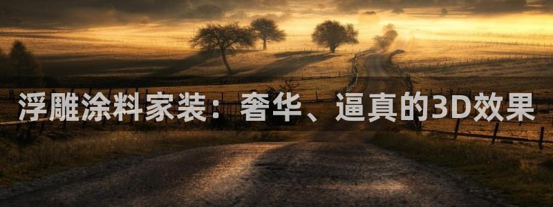 官方和记国际平台登录：浮雕涂料家装：奢华、逼真的3D效果