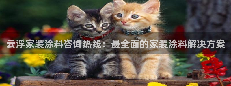 和记网页：云浮家装涂料咨询热线：最全面的家装涂料解决方案