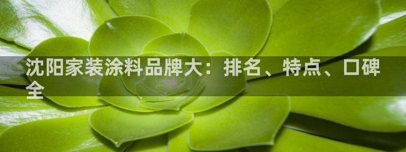 和记官网登陆：沈阳家装涂料品牌大：排名、特点、口碑
全