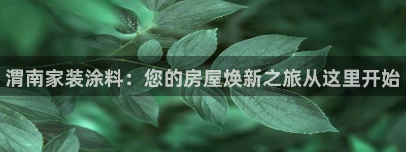 和记平台注册：渭南家装涂料：您的房屋焕新之旅从这里开始