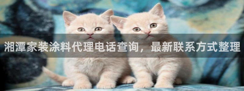 和记国际客服：湘潭家装涂料代理电话查询，最新联系方式整理