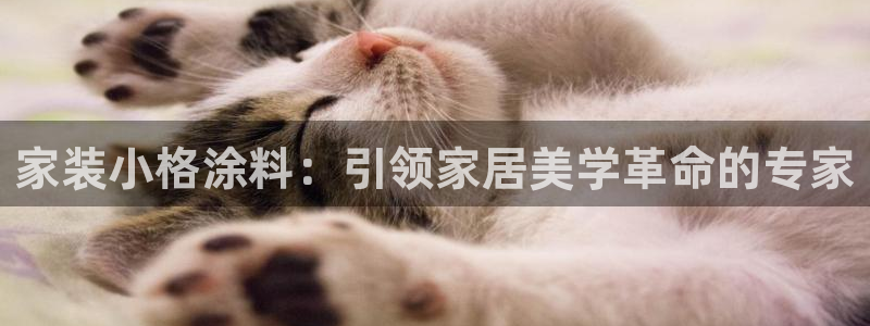 和记平台官网：家装小格涂料：引领家居美学革命的专家