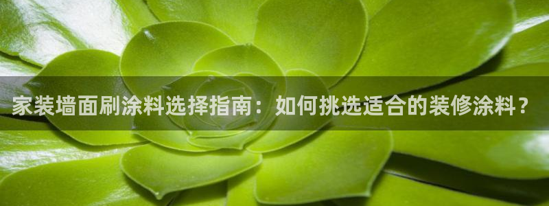 和记广告女主角