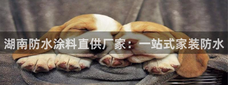 和记Ag：湖南防水涂料直供厂家：一站式家装防水
