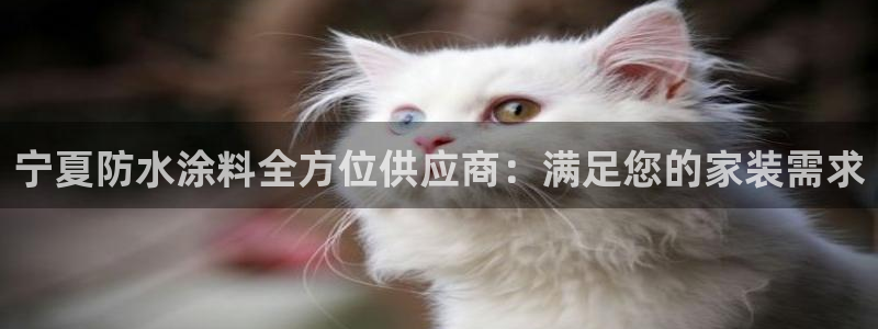 和记 首页：宁夏防水涂料全方位供应商：满足您的家装需求